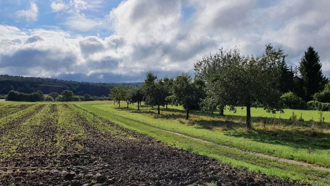 Prenájom bytu 3-izbový 84 m², Litzendorfer Straße 9, Strullendorf, Bavorsko Prenájom bytu 3-izbový 84 m², Litzendorfer Straße 9, Strullendorf, Bavorsko