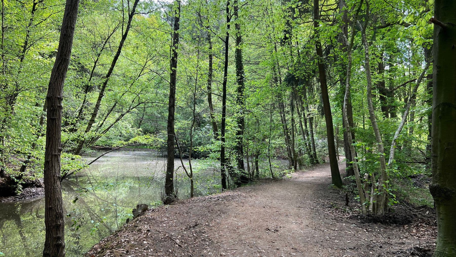 Prenájom bytu 3-izbový 92 m², Brühlstr. 27b, Wassenberg, Severné Porýnie - Westfálsko Prenájom bytu 3-izbový 92 m², Brühlstr. 27b, Wassenberg, Severné Porýnie - Westfálsko