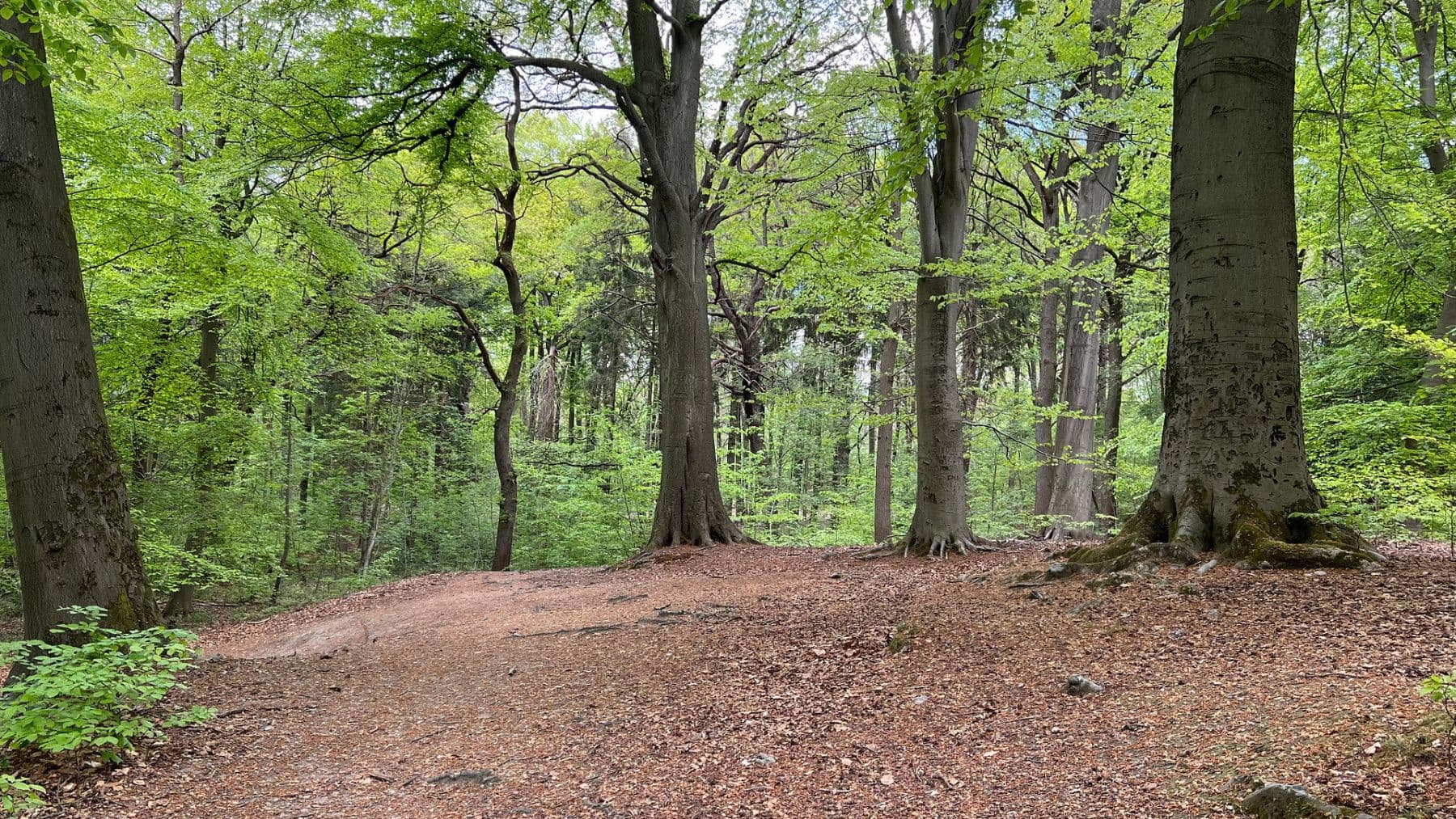 Prenájom bytu 3-izbový 92 m², Brühlstr. 27b, Wassenberg, Severné Porýnie - Westfálsko Prenájom bytu 3-izbový 92 m², Brühlstr. 27b, Wassenberg, Severné Porýnie - Westfálsko