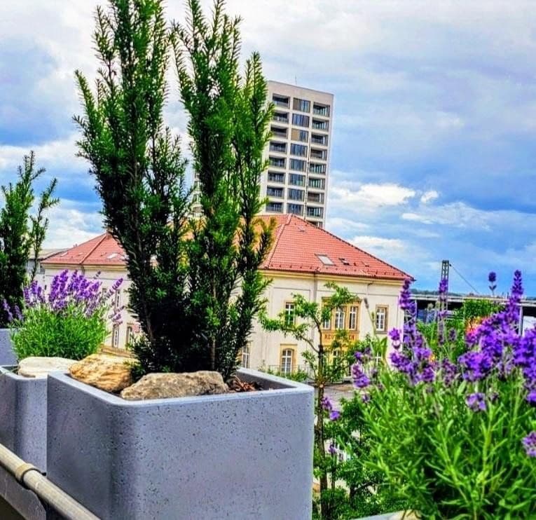 Predaj bytu 2-izbový 69 m², Reutlingen, Bádensko-Wurttembersko Predaj bytu 2-izbový 69 m², Reutlingen, Bádensko-Wurttembersko