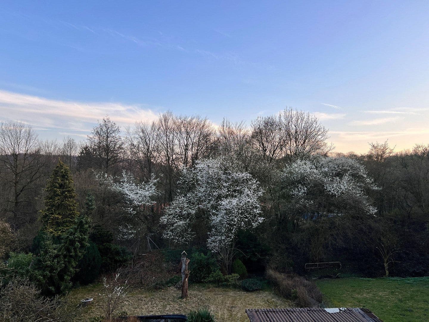 Prenájom domu 230 m², pozemek 600 m², Haller Weg 65a, Bielefeld, Severné Porýnie - Westfálsko Prenájom domu 230 m², pozemek 600 m², Haller Weg 65a, Bielefeld, Severné Porýnie - Westfálsko