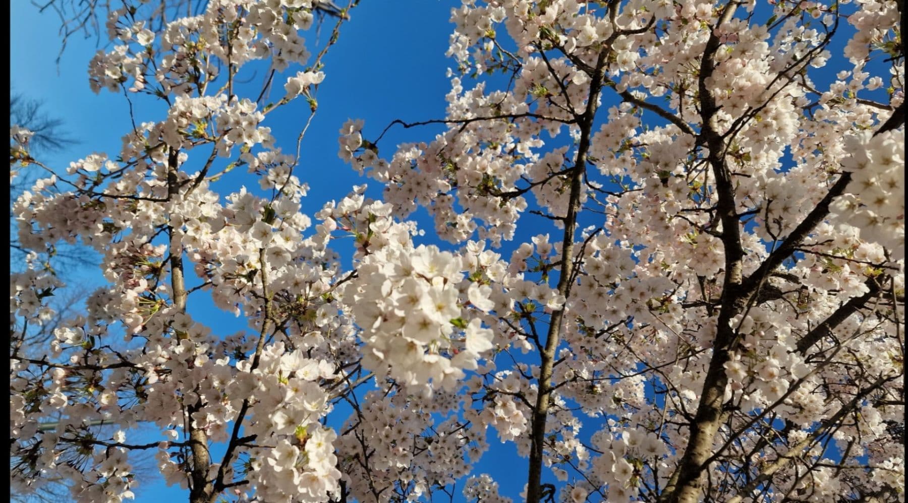 Predaj domu 125 m², pozemek 126 m², Tachlovice, Středočeský kraj Predaj domu 125 m², pozemek 126 m², Tachlovice, Středočeský kraj