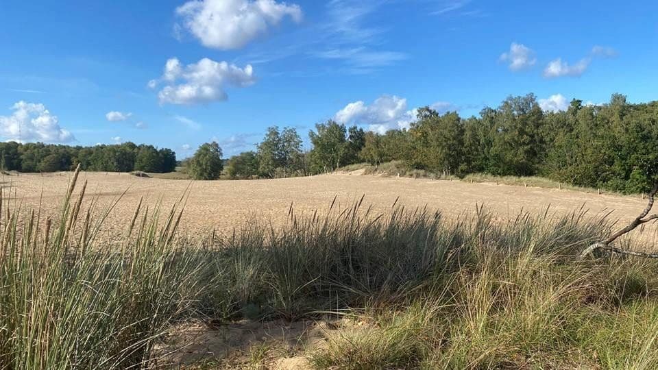 Predaj bytu 3-izbový 96 m², Reinbeker Redder 57a, Hamburg, Hamburg Predaj bytu 3-izbový 96 m², Reinbeker Redder 57a, Hamburg, Hamburg