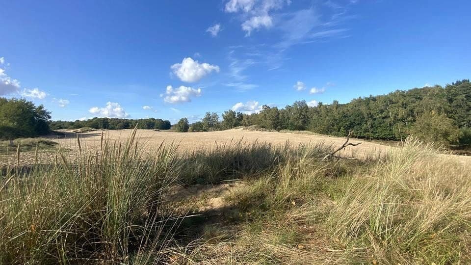 Predaj bytu 3-izbový 153 m², Reinbeker Redder 57a, Hamburg, Hamburg Predaj bytu 3-izbový 153 m², Reinbeker Redder 57a, Hamburg, Hamburg