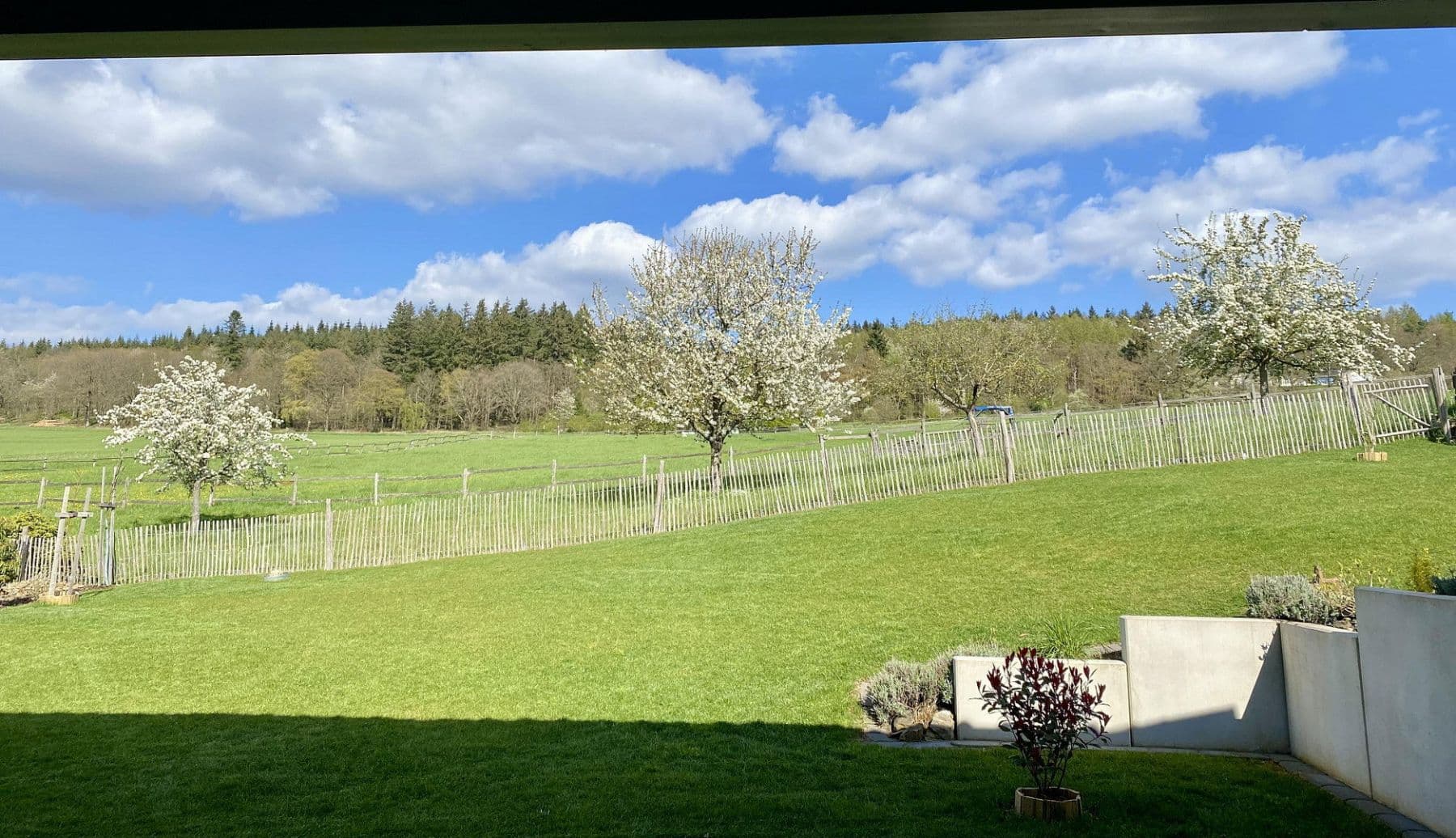 Predaj domu 98 m², pozemek 650 m², Weidenbach, Porýnie-Falcko Predaj domu 98 m², pozemek 650 m², Weidenbach, Porýnie-Falcko