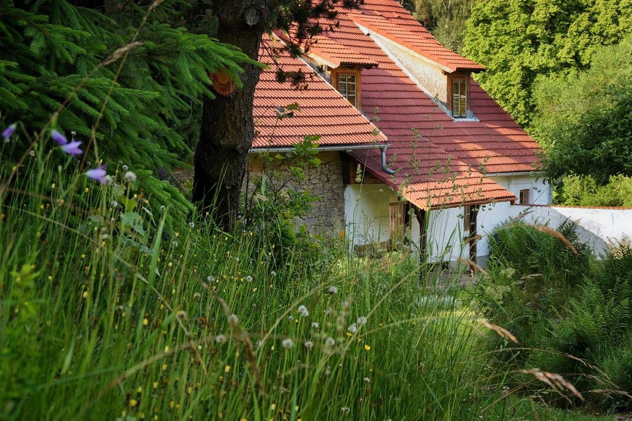 Prenájom rekreačného objektu, Benešov nad Černou, Jihočeský kraj Prenájom rekreačného objektu, Benešov nad Černou, Jihočeský kraj