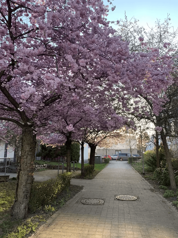 Prenájom bytu 1-izbový 42 m², Leipzig, Sasko Prenájom bytu 1-izbový 42 m², Leipzig, Sasko