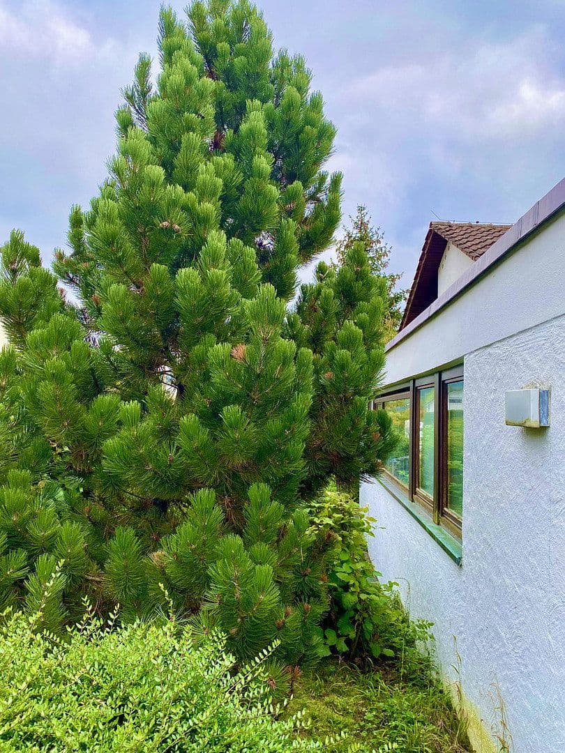 Predaj domu 240 m², pozemek 1.215 m², Panoramaweg 15, Rudersberg, Bádensko-Wurttembersko Predaj domu 240 m², pozemek 1.215 m², Panoramaweg 15, Rudersberg, Bádensko-Wurttembersko