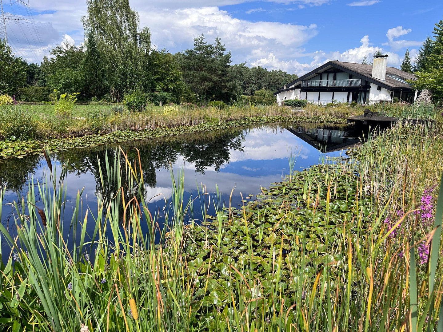 Predaj domu 591 m², pozemek 4.760 m², Möhrendorf, Bavorsko Predaj domu 591 m², pozemek 4.760 m², Möhrendorf, Bavorsko