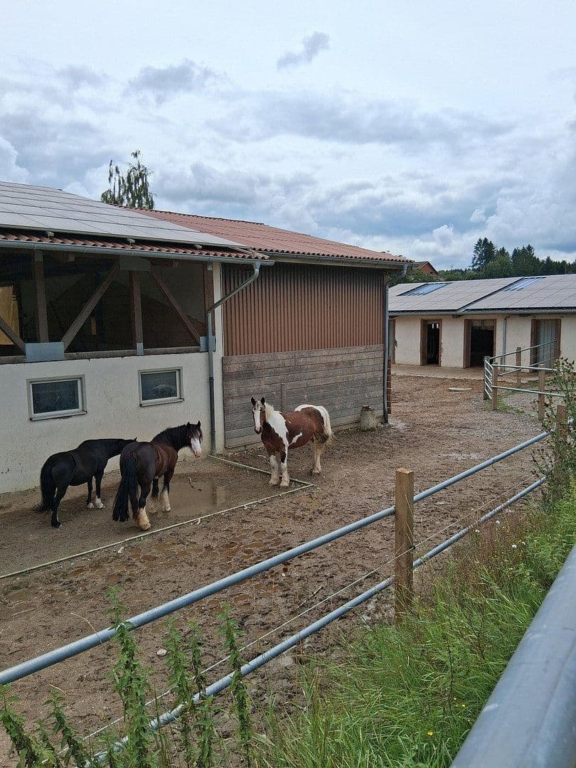 Predaj pozemku 94.000 m², Meßkirch, Bádensko-Wurttembersko Predaj pozemku 94.000 m², Meßkirch, Bádensko-Wurttembersko