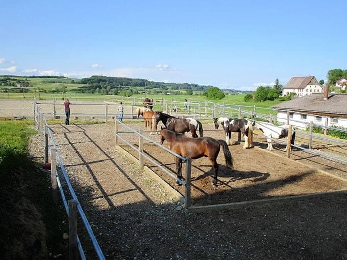 Predaj pozemku 94.000 m², Meßkirch, Bádensko-Wurttembersko Predaj pozemku 94.000 m², Meßkirch, Bádensko-Wurttembersko