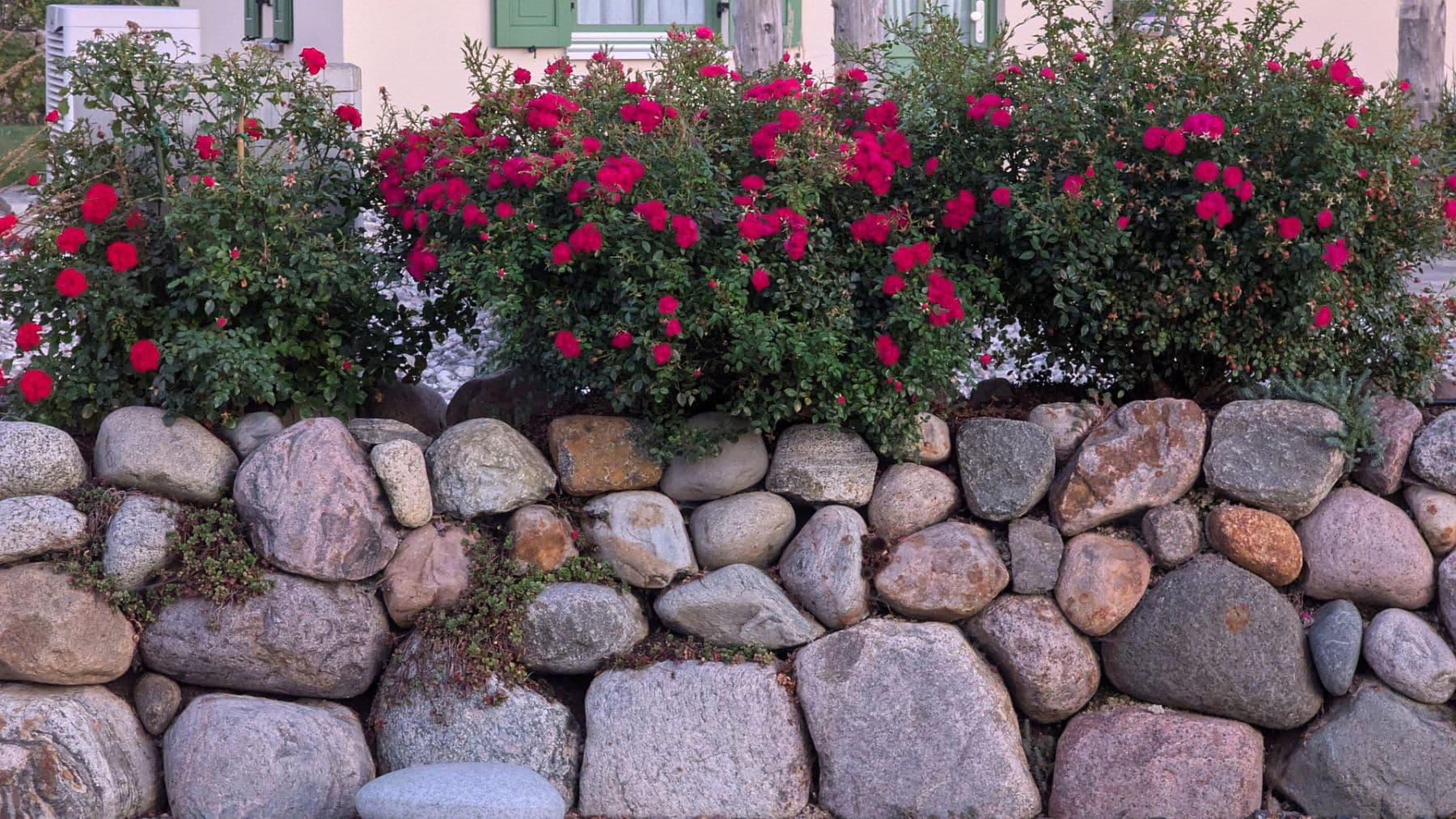 Predaj domu 88 m², pozemek 656 m², Prohn, Meklenbursko-Predpomoransko Predaj domu 88 m², pozemek 656 m², Prohn, Meklenbursko-Predpomoransko