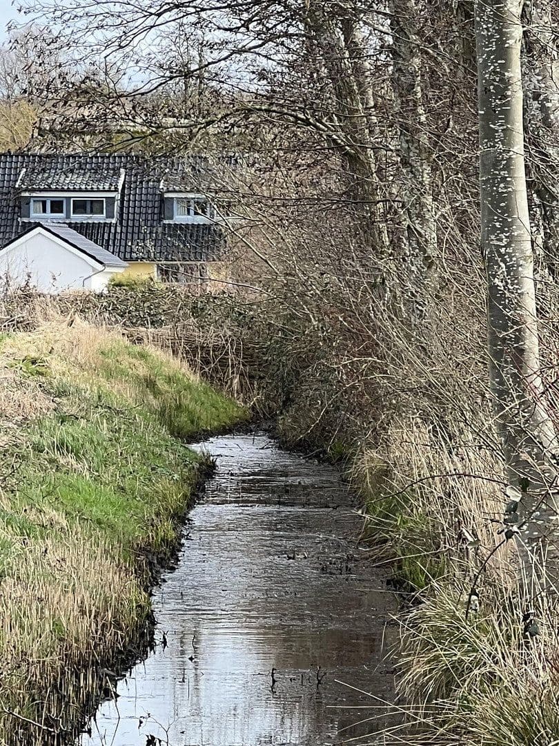 Predaj domu 244 m², pozemek 13.600 m², Dorfstraße, 16, Neuenkirchen, Meklenbursko-Predpomoransko Predaj domu 244 m², pozemek 13.600 m², Dorfstraße, 16, Neuenkirchen, Meklenbursko-Predpomoransko