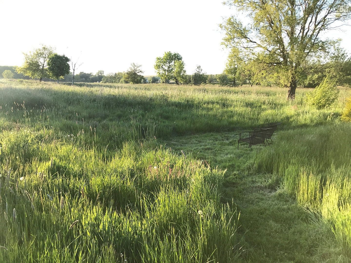 Predaj domu 244 m², pozemek 13.600 m², Dorfstraße, 16, Neuenkirchen, Meklenbursko-Predpomoransko Predaj domu 244 m², pozemek 13.600 m², Dorfstraße, 16, Neuenkirchen, Meklenbursko-Predpomoransko