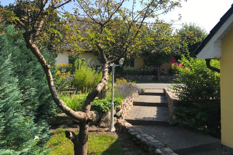 Predaj domu 244 m², pozemek 13.600 m², Dorfstraße, 16, Neuenkirchen, Meklenbursko-Predpomoransko Predaj domu 244 m², pozemek 13.600 m², Dorfstraße, 16, Neuenkirchen, Meklenbursko-Predpomoransko