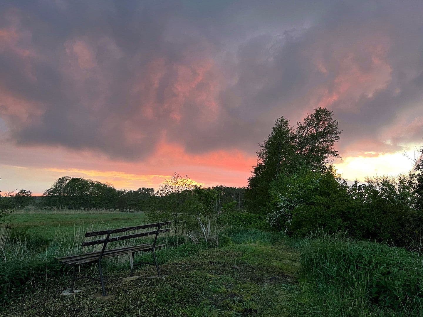 Predaj domu 244 m², pozemek 13.600 m², Dorfstraße, 16, Neuenkirchen, Meklenbursko-Predpomoransko Predaj domu 244 m², pozemek 13.600 m², Dorfstraße, 16, Neuenkirchen, Meklenbursko-Predpomoransko