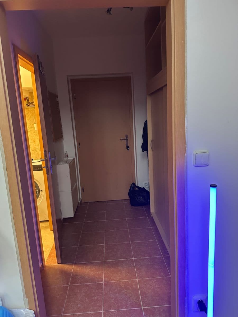 Prenájom bytu 1-izbový 31 m², Slapy, Středočeský kraj Prenájom bytu 1-izbový 31 m², Slapy, Středočeský kraj