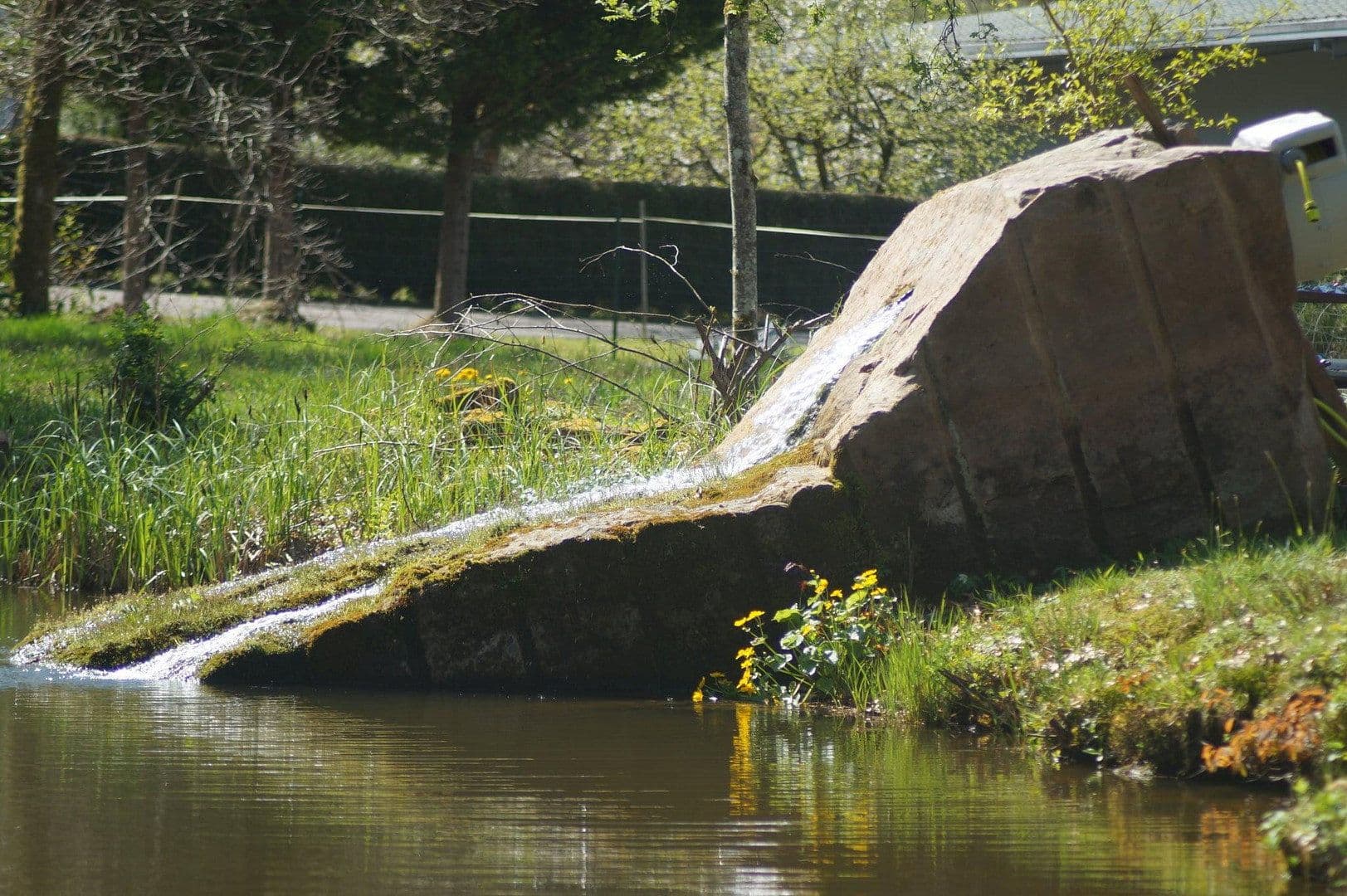 Predaj domu 250 m², pozemek 8.000 m², In der Schorbach 1c, Waldfischbach-Burgalben, Porýnie-Falcko Predaj domu 250 m², pozemek 8.000 m², In der Schorbach 1c, Waldfischbach-Burgalben, Porýnie-Falcko