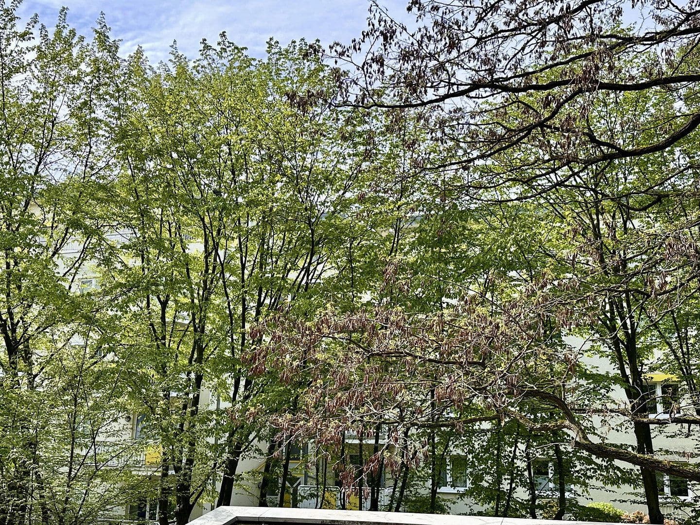 Prenájom bytu 4-izbový 105 m², Nesselrodestr. 18 b, Köln, Severné Porýnie - Westfálsko Prenájom bytu 4-izbový 105 m², Nesselrodestr. 18 b, Köln, Severné Porýnie - Westfálsko