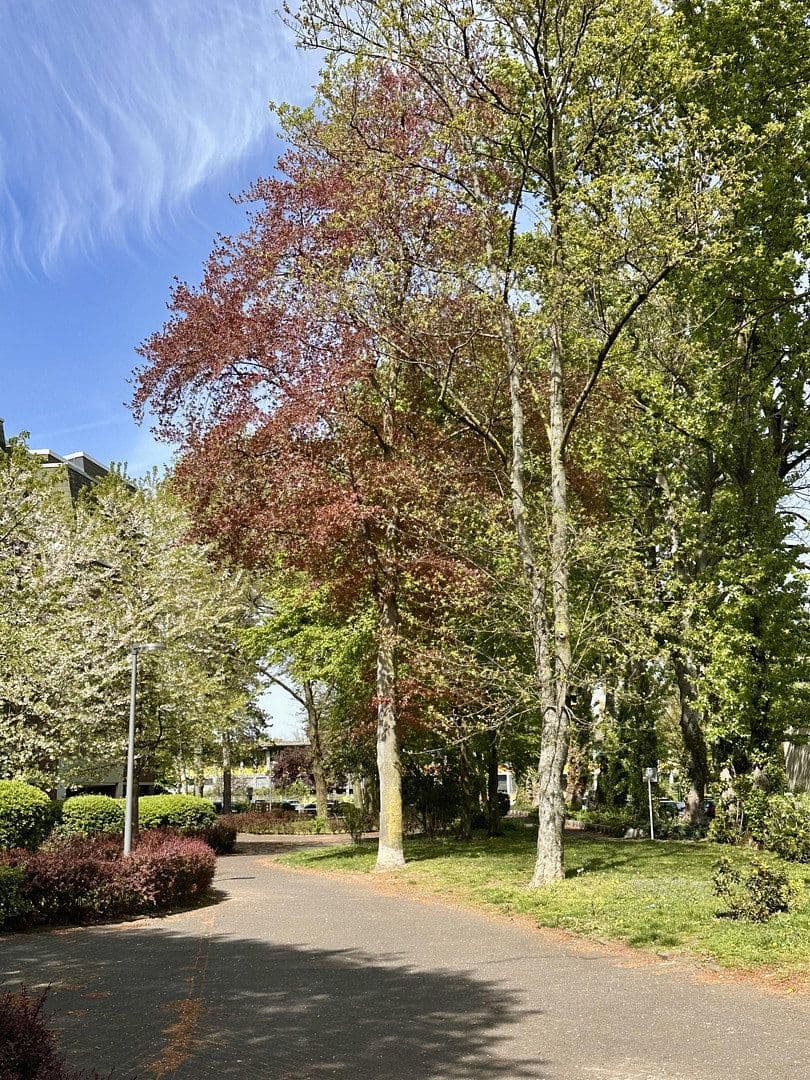 Prenájom bytu 4-izbový 105 m², Nesselrodestr. 18 b, Köln, Severné Porýnie - Westfálsko Prenájom bytu 4-izbový 105 m², Nesselrodestr. 18 b, Köln, Severné Porýnie - Westfálsko