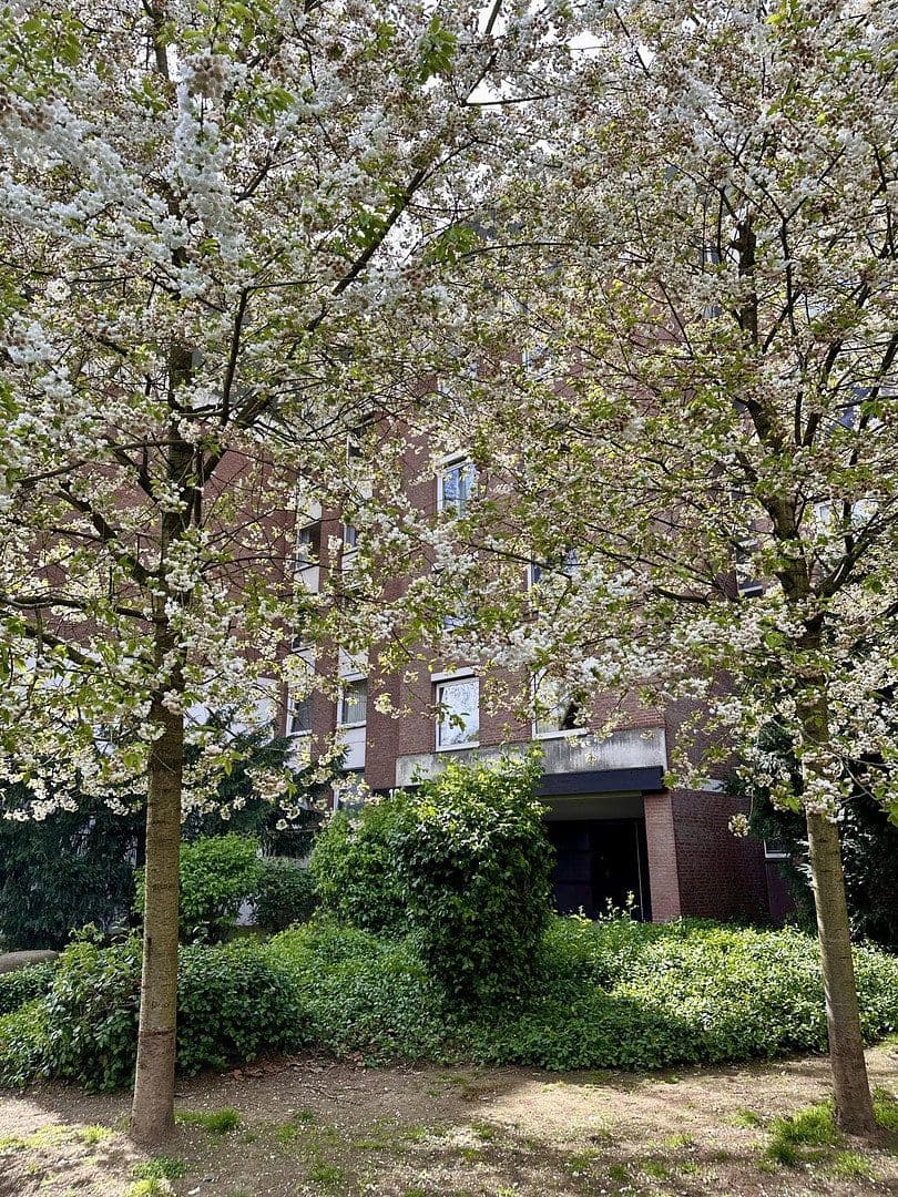 Prenájom bytu 4-izbový 105 m², Nesselrodestr. 18 b, Köln, Severné Porýnie - Westfálsko Prenájom bytu 4-izbový 105 m², Nesselrodestr. 18 b, Köln, Severné Porýnie - Westfálsko