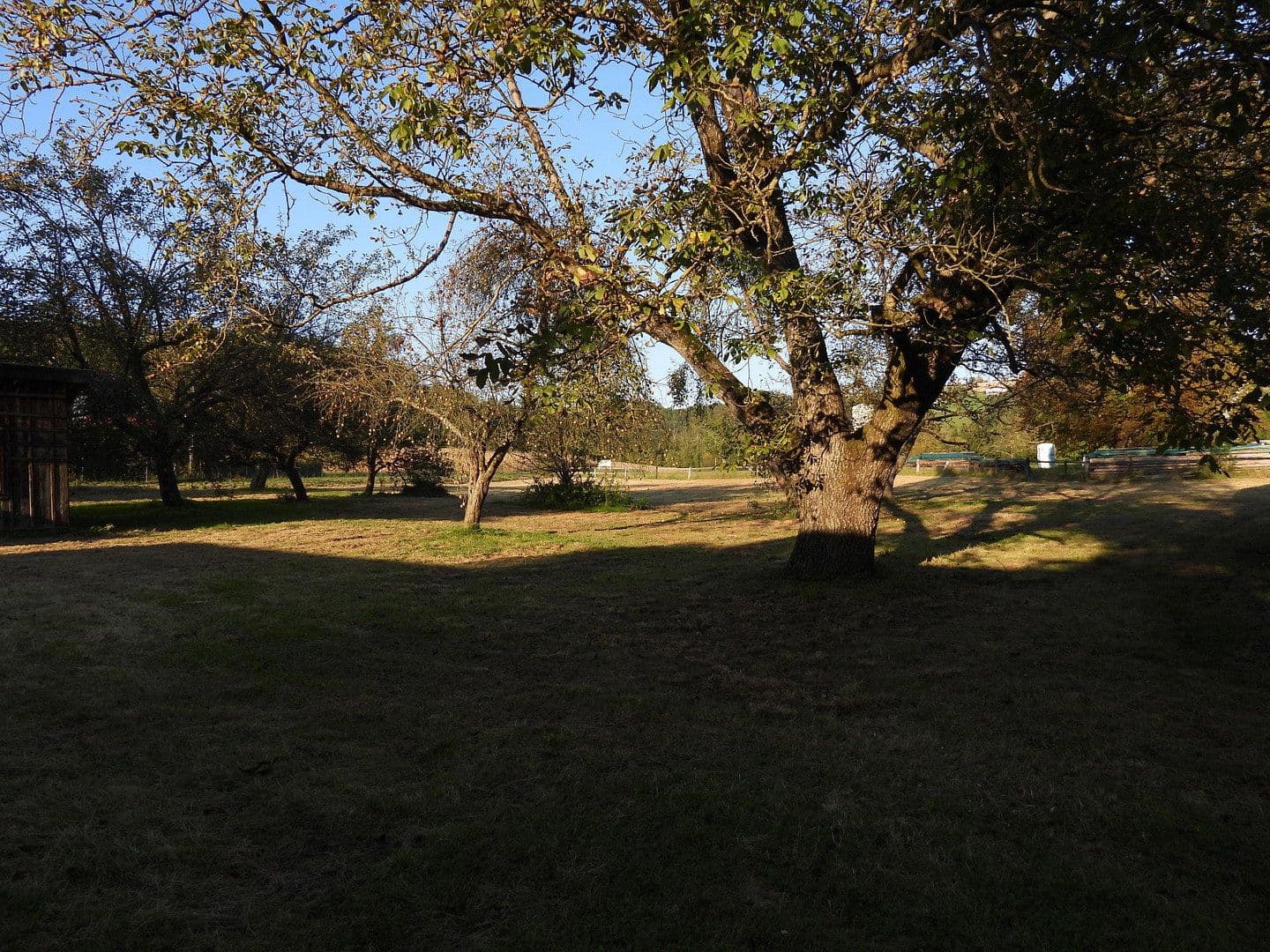 Predaj domu 104 m², pozemek 7.745 m², Neuhaus am Inn, Bavorsko Predaj domu 104 m², pozemek 7.745 m², Neuhaus am Inn, Bavorsko