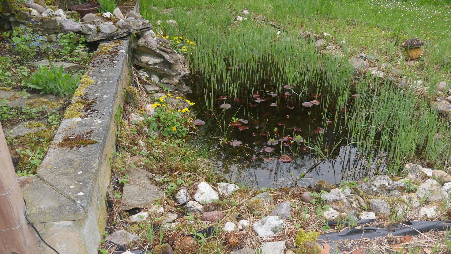 Prenájom domu 145 m², pozemek 581 m², Ratingen, Severné Porýnie - Westfálsko Prenájom domu 145 m², pozemek 581 m², Ratingen, Severné Porýnie - Westfálsko