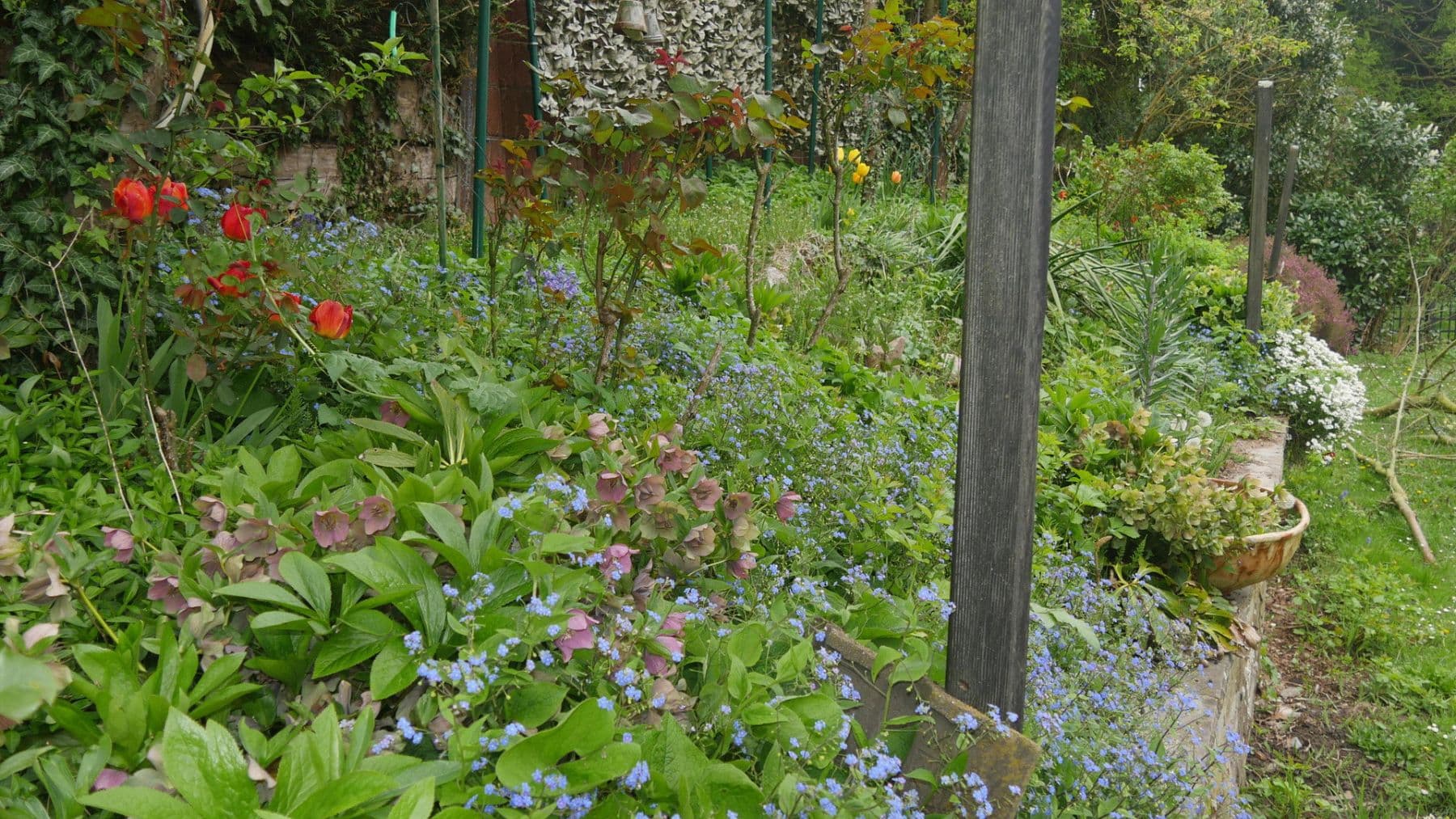 Prenájom domu 145 m², pozemek 581 m², Ratingen, Severné Porýnie - Westfálsko Prenájom domu 145 m², pozemek 581 m², Ratingen, Severné Porýnie - Westfálsko