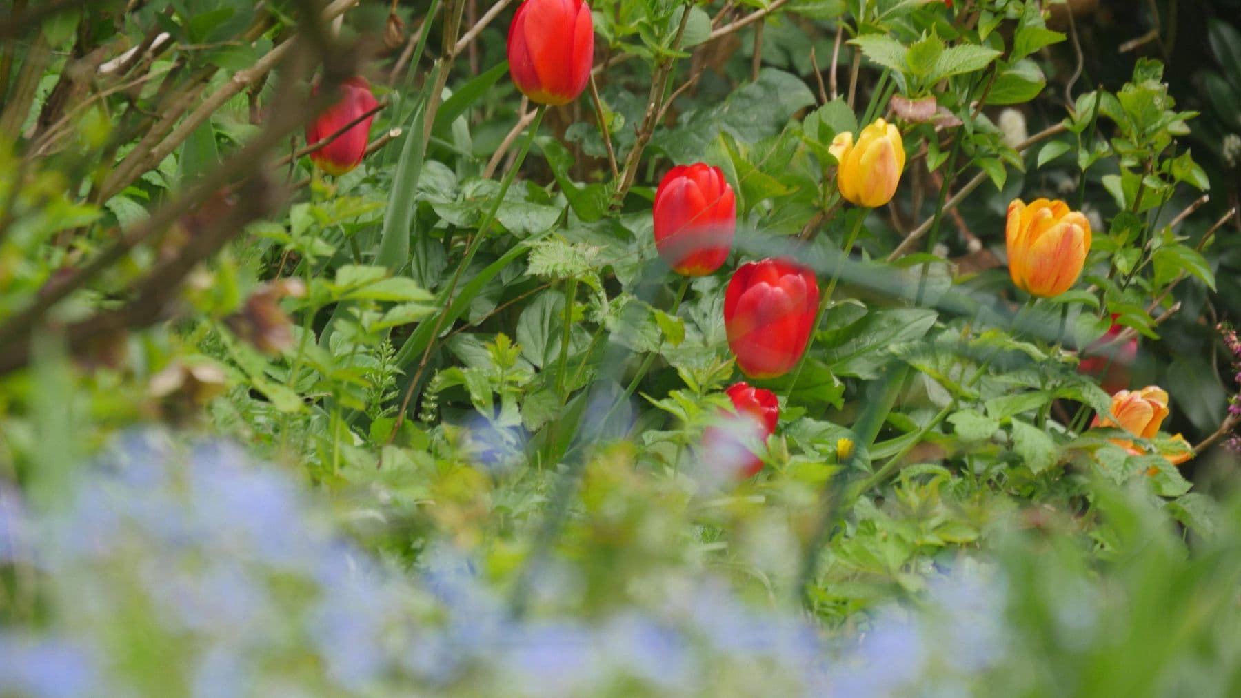 Prenájom domu 145 m², pozemek 581 m², Ratingen, Severné Porýnie - Westfálsko Prenájom domu 145 m², pozemek 581 m², Ratingen, Severné Porýnie - Westfálsko