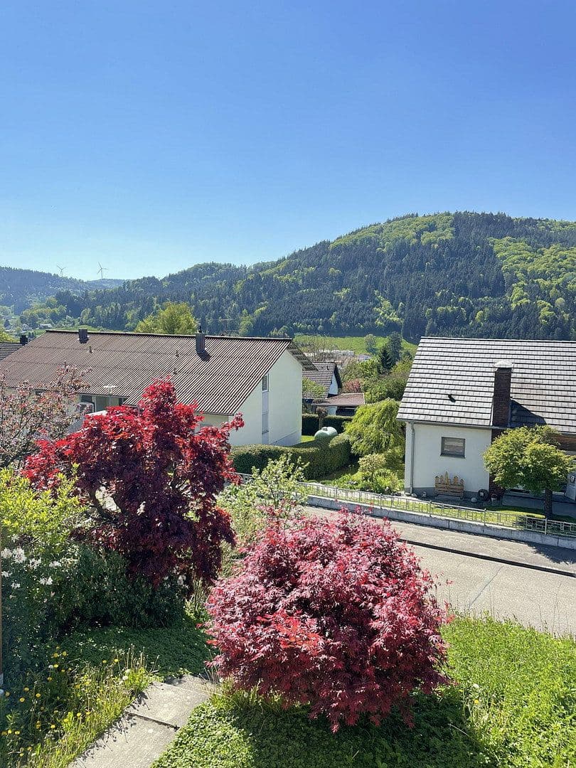 Predaj domu 153 m², pozemek 196 m², Seelbach, Bádensko-Wurttembersko Predaj domu 153 m², pozemek 196 m², Seelbach, Bádensko-Wurttembersko