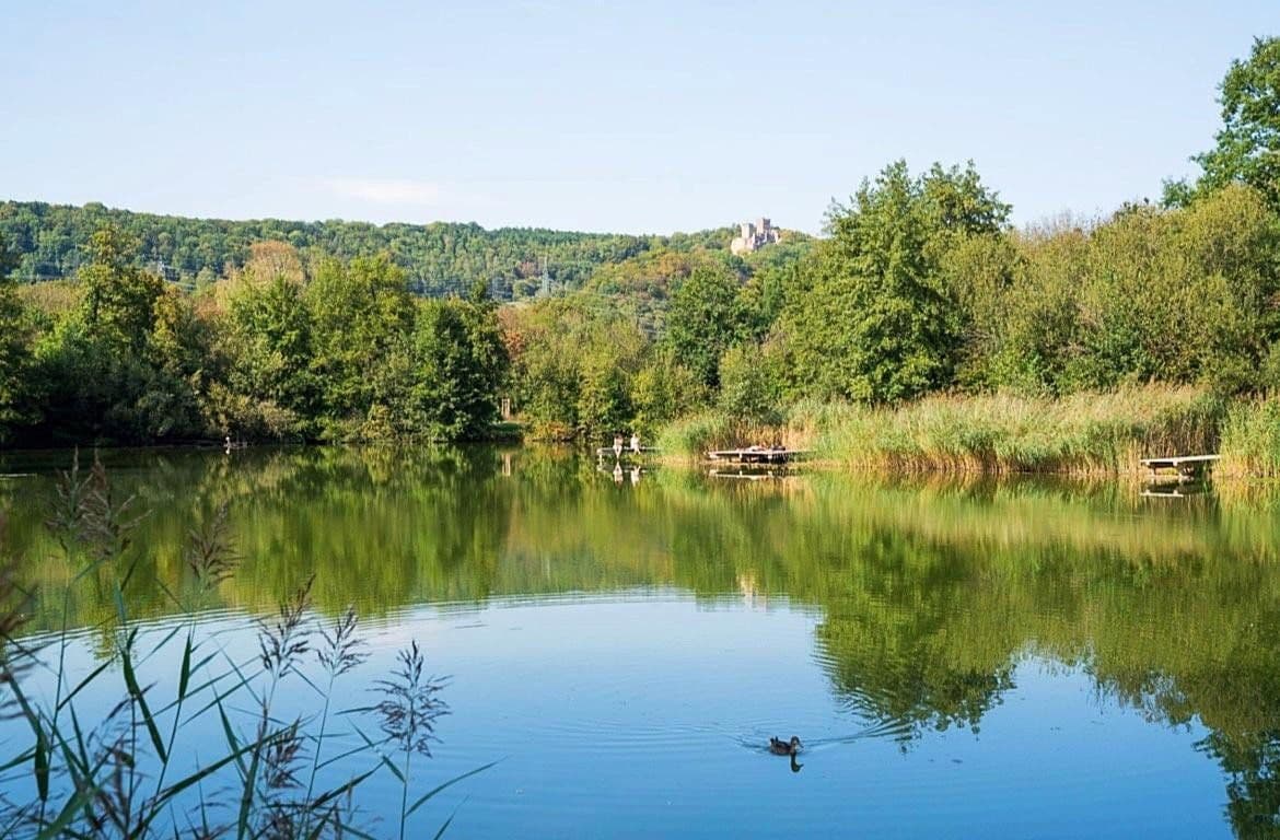 Predaj bytu 1-izbový 53 m², Lörracher Str. 90, Lörrach, Bádensko-Wurttembersko Predaj bytu 1-izbový 53 m², Lörracher Str. 90, Lörrach, Bádensko-Wurttembersko