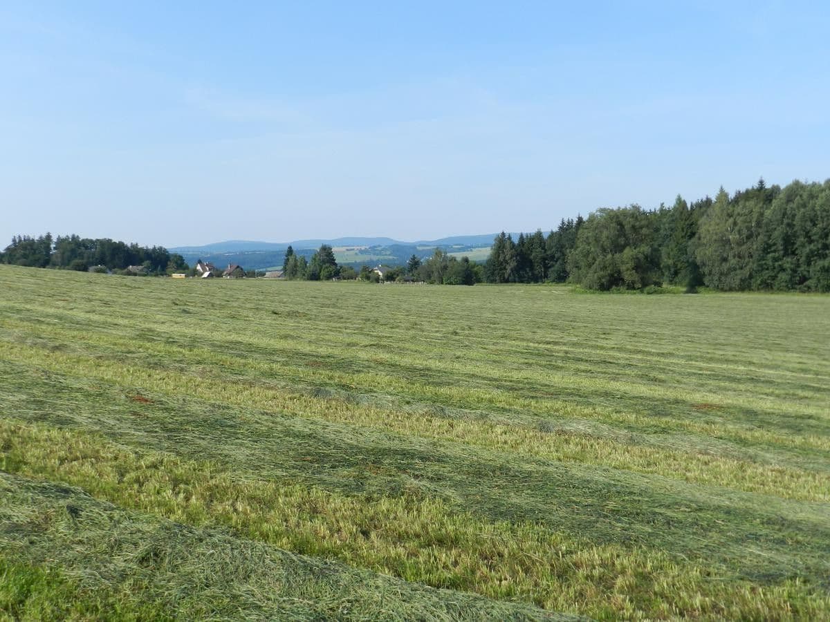 Predaj pozemku 43.627 m², Slatina nad Zdobnicí, Královéhradecký kraj Predaj pozemku 43.627 m², Slatina nad Zdobnicí, Královéhradecký kraj