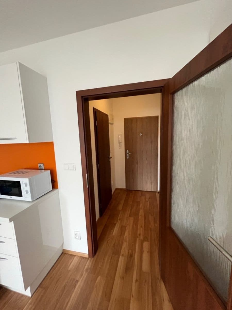 Prenájom bytu 1-izbový 30 m², Rudolfa Holeky, Praha, Praha Prenájom bytu 1-izbový 30 m², Rudolfa Holeky, Praha, Praha