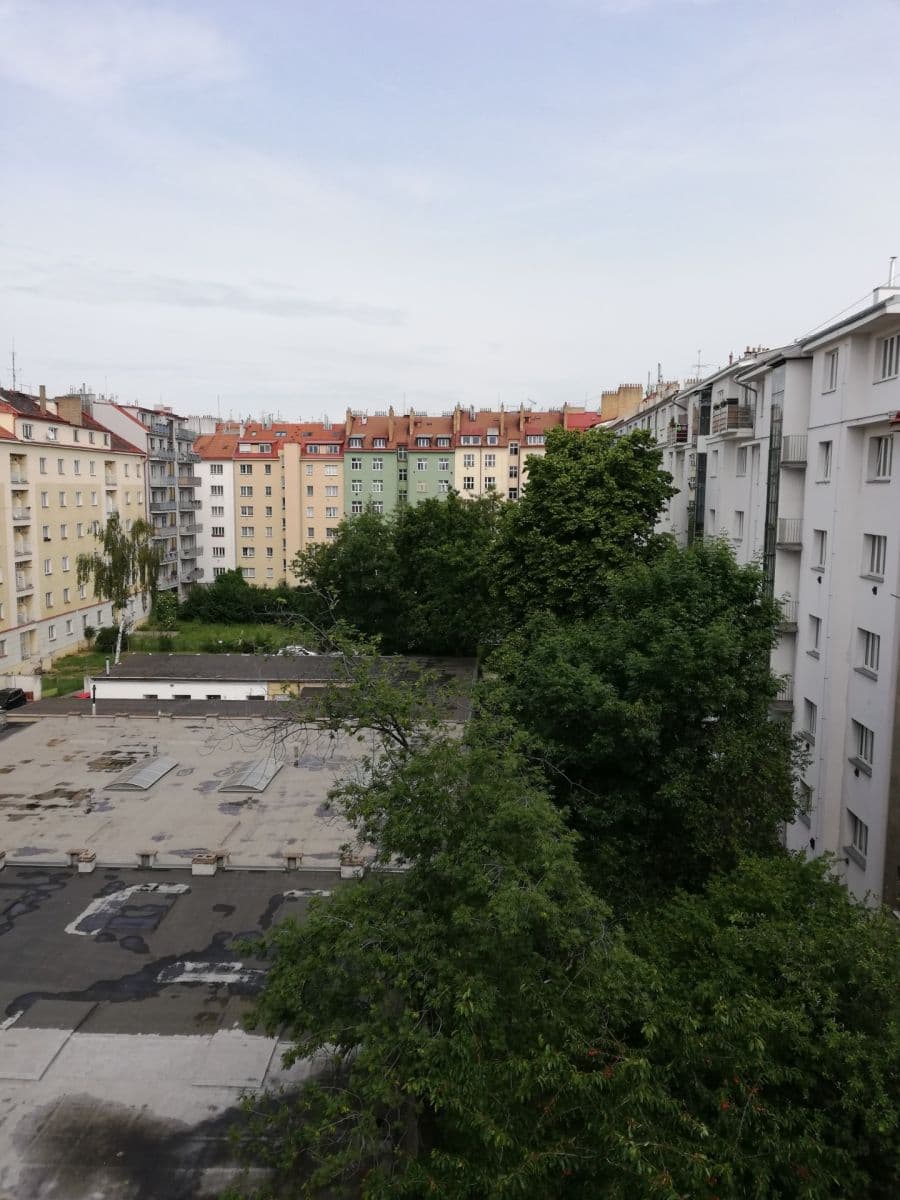 Prenájom bytu 1-izbový 29 m², Jana Želivského, Praha, Praha Prenájom bytu 1-izbový 29 m², Jana Želivského, Praha, Praha