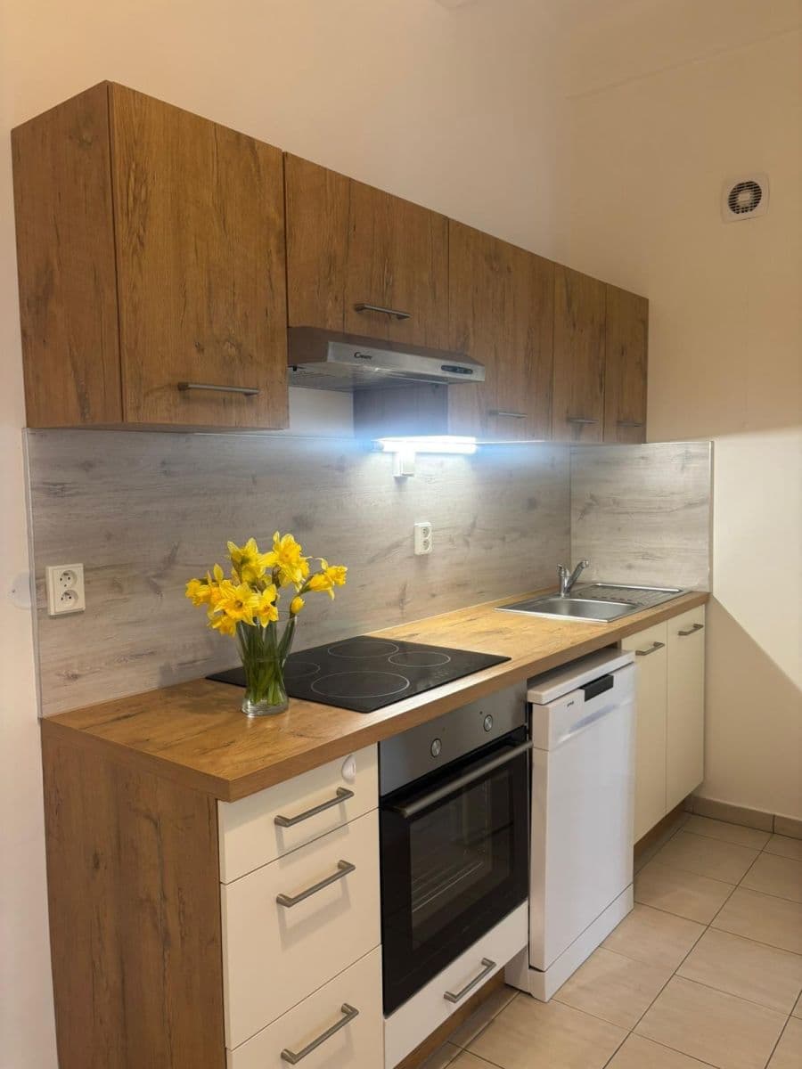 Prenájom bytu 2-izbový 51 m², Dělnická, Praha, Praha Prenájom bytu 2-izbový 51 m², Dělnická, Praha, Praha