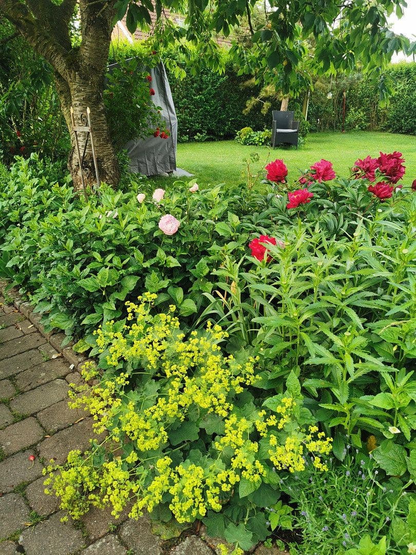 Predaj domu 125 m², pozemek 566 m², Lübeck, Šlezvicko-Holštajnsko Predaj domu 125 m², pozemek 566 m², Lübeck, Šlezvicko-Holštajnsko