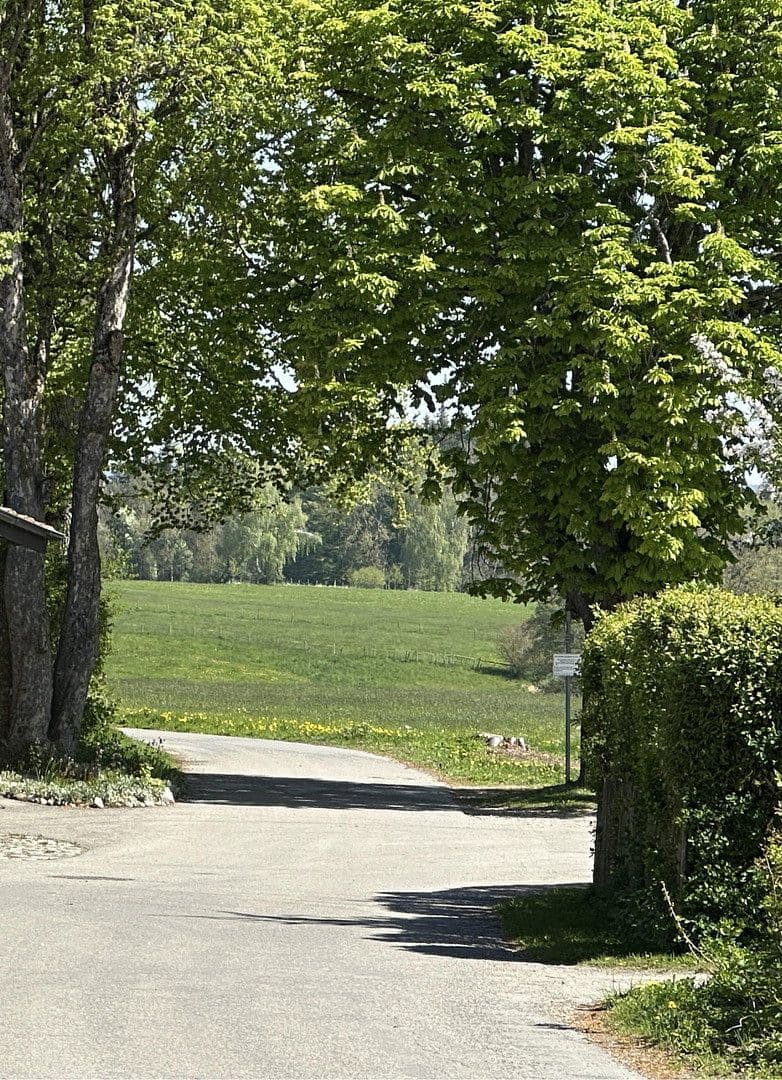 Predaj domu 127 m², pozemek 795 m², Alte Poststrasse 3, Irsee, Bavorsko Predaj domu 127 m², pozemek 795 m², Alte Poststrasse 3, Irsee, Bavorsko
