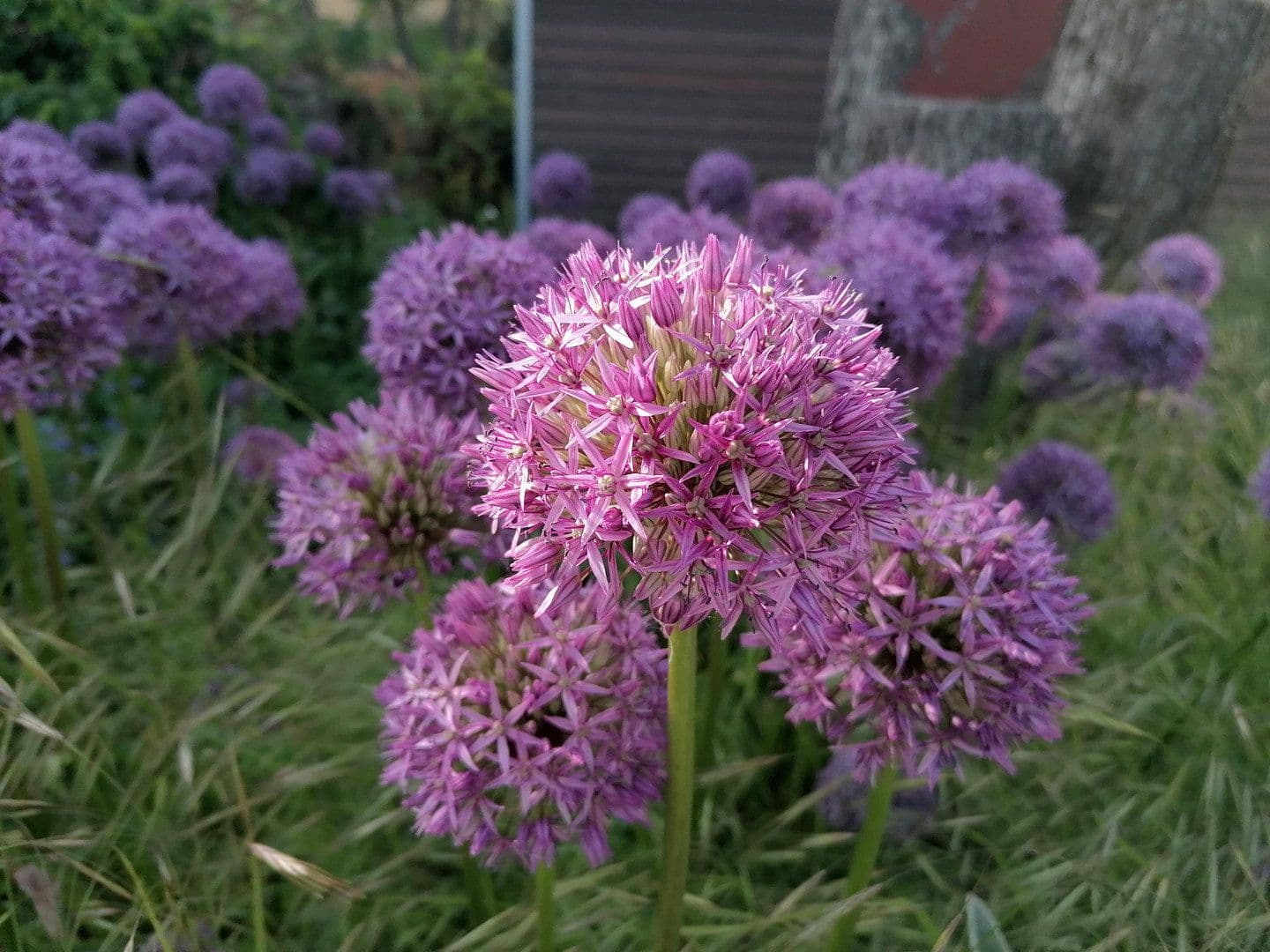 Predaj domu 224 m², pozemek 785 m², Weiler bei Bingen, Porýnie-Falcko Predaj domu 224 m², pozemek 785 m², Weiler bei Bingen, Porýnie-Falcko