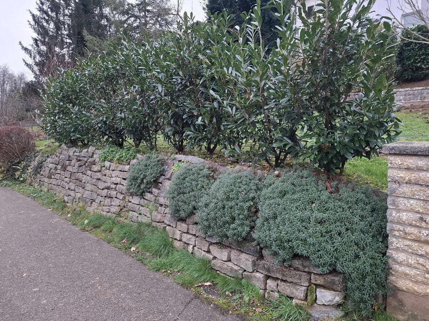 Predaj domu 163 m², pozemek 522 m², Wernau (Neckar), Bádensko-Wurttembersko Predaj domu 163 m², pozemek 522 m², Wernau (Neckar), Bádensko-Wurttembersko