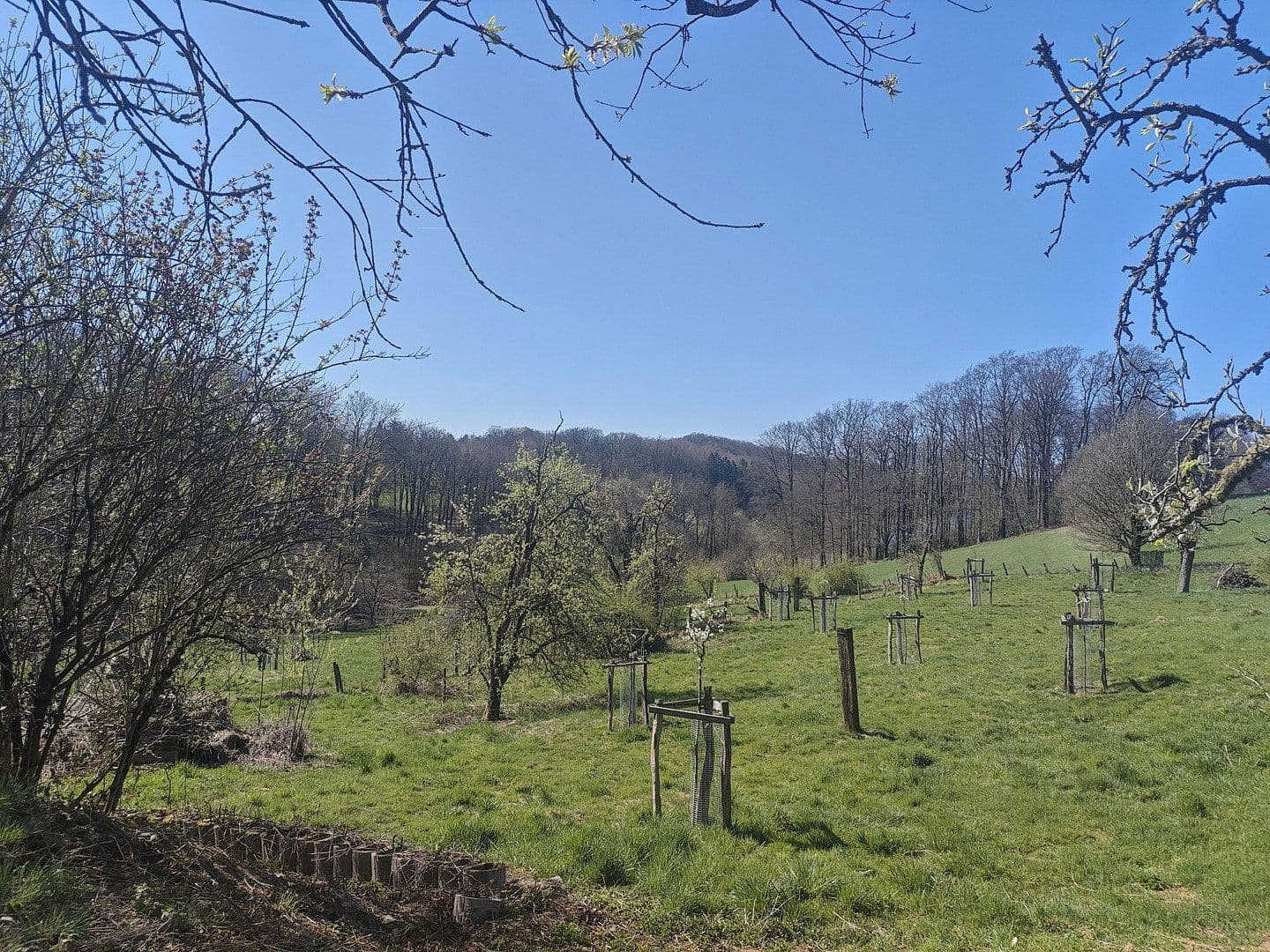 Prenájom bytu 2-izbový 54 m², Hückeswagen, Severné Porýnie - Westfálsko Prenájom bytu 2-izbový 54 m², Hückeswagen, Severné Porýnie - Westfálsko