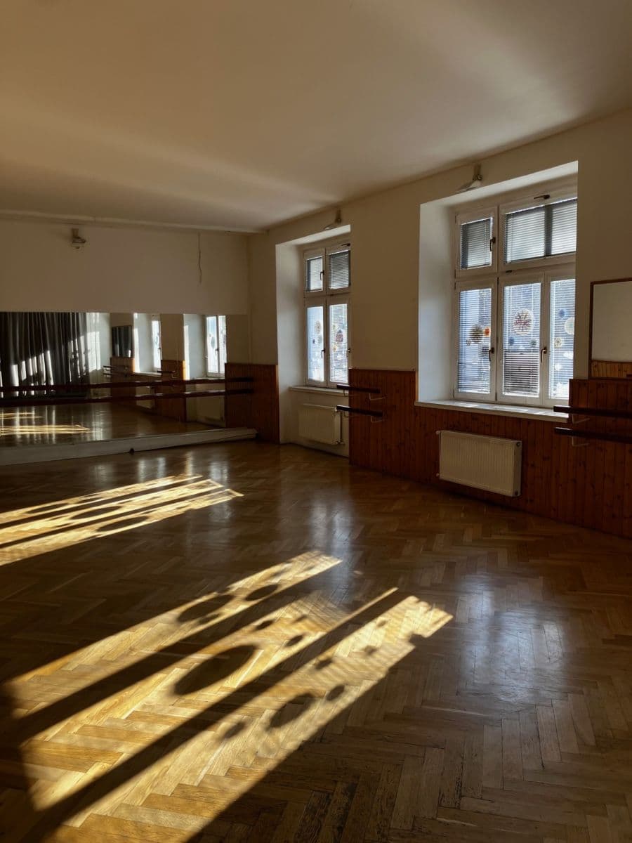 Prenájom nebytového priestoru 755 m², Smetanova, Kralupy nad Vltavou, Středočeský kraj Prenájom nebytového priestoru 755 m², Smetanova, Kralupy nad Vltavou, Středočeský kraj