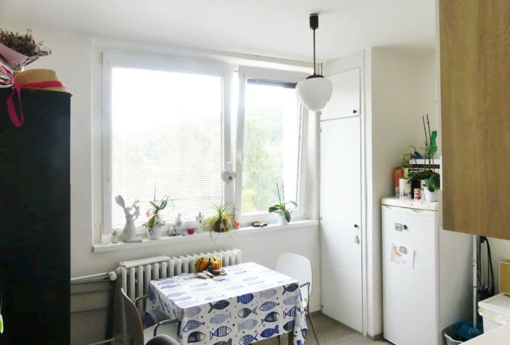 Prenájom bytu 1-izbový 36 m², Borodinova, Brno, Jihomoravský kraj Prenájom bytu 1-izbový 36 m², Borodinova, Brno, Jihomoravský kraj