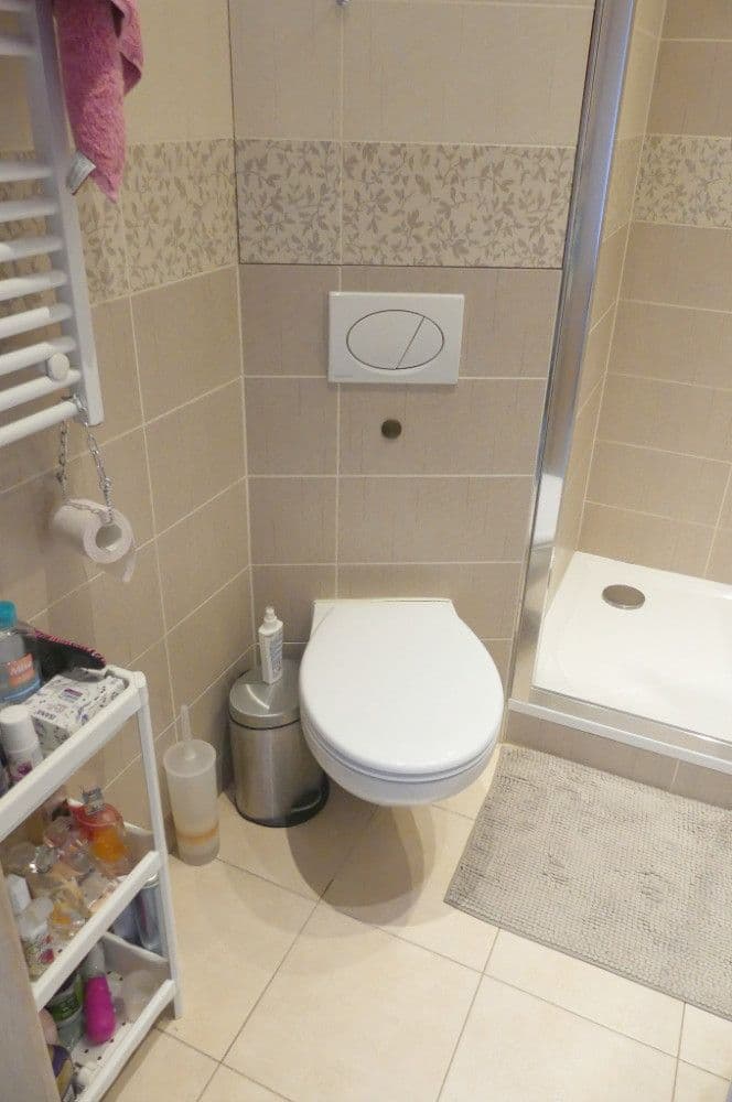 Prenájom bytu 1-izbový 36 m², Borodinova, Brno, Jihomoravský kraj Prenájom bytu 1-izbový 36 m², Borodinova, Brno, Jihomoravský kraj