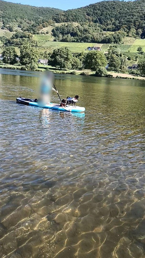 Predaj domu 399 m², pozemek 304 m², Senheim, Porýnie-Falcko Predaj domu 399 m², pozemek 304 m², Senheim, Porýnie-Falcko