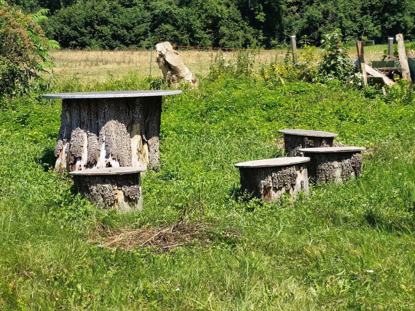 Predaj domu 248 m², pozemek 1.060 m², Rosegg, Korutánsko Predaj domu 248 m², pozemek 1.060 m², Rosegg, Korutánsko