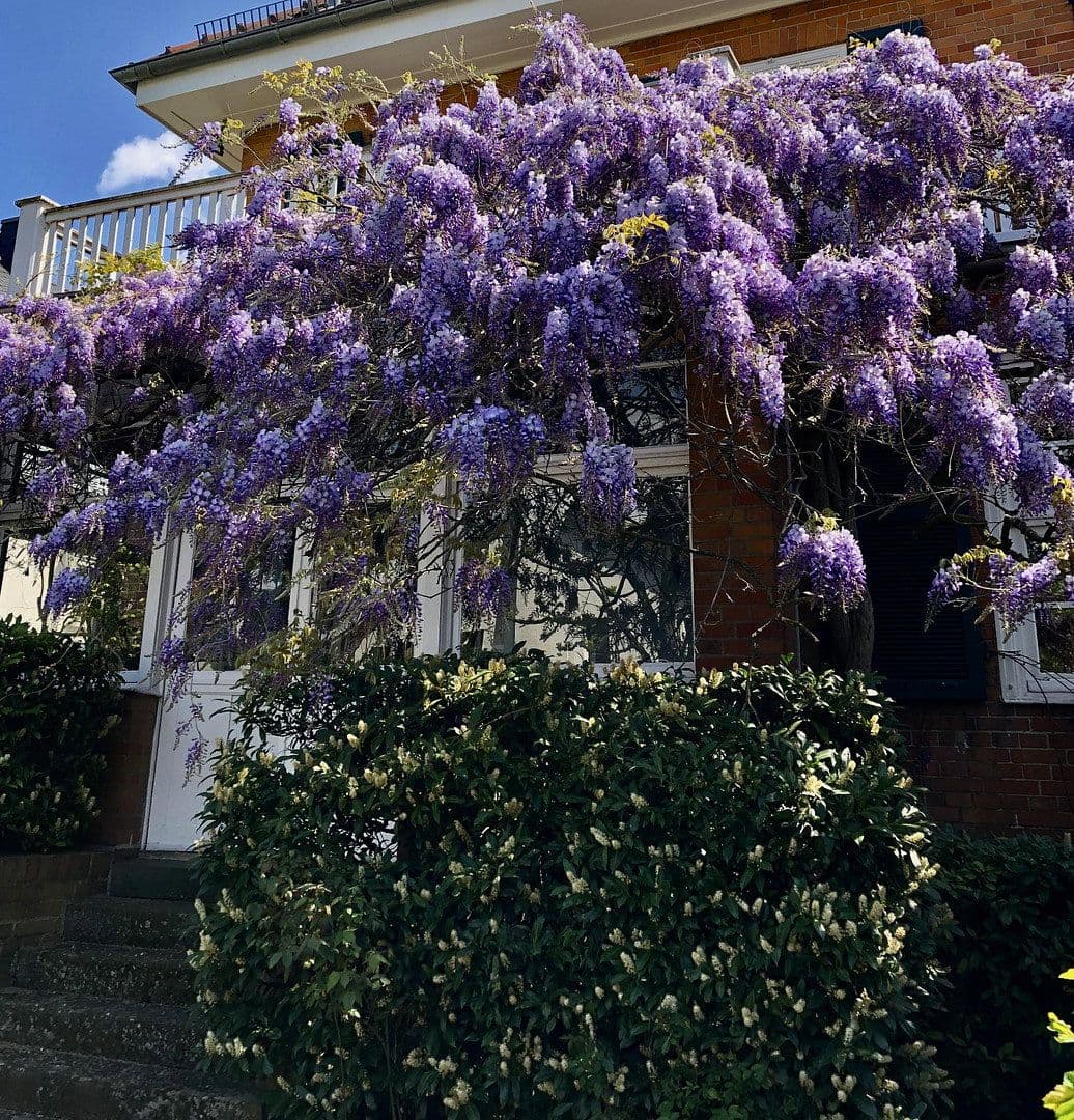 Predaj domu 365 m², pozemek 733 m², Frankfurt, Hesensko Predaj domu 365 m², pozemek 733 m², Frankfurt, Hesensko