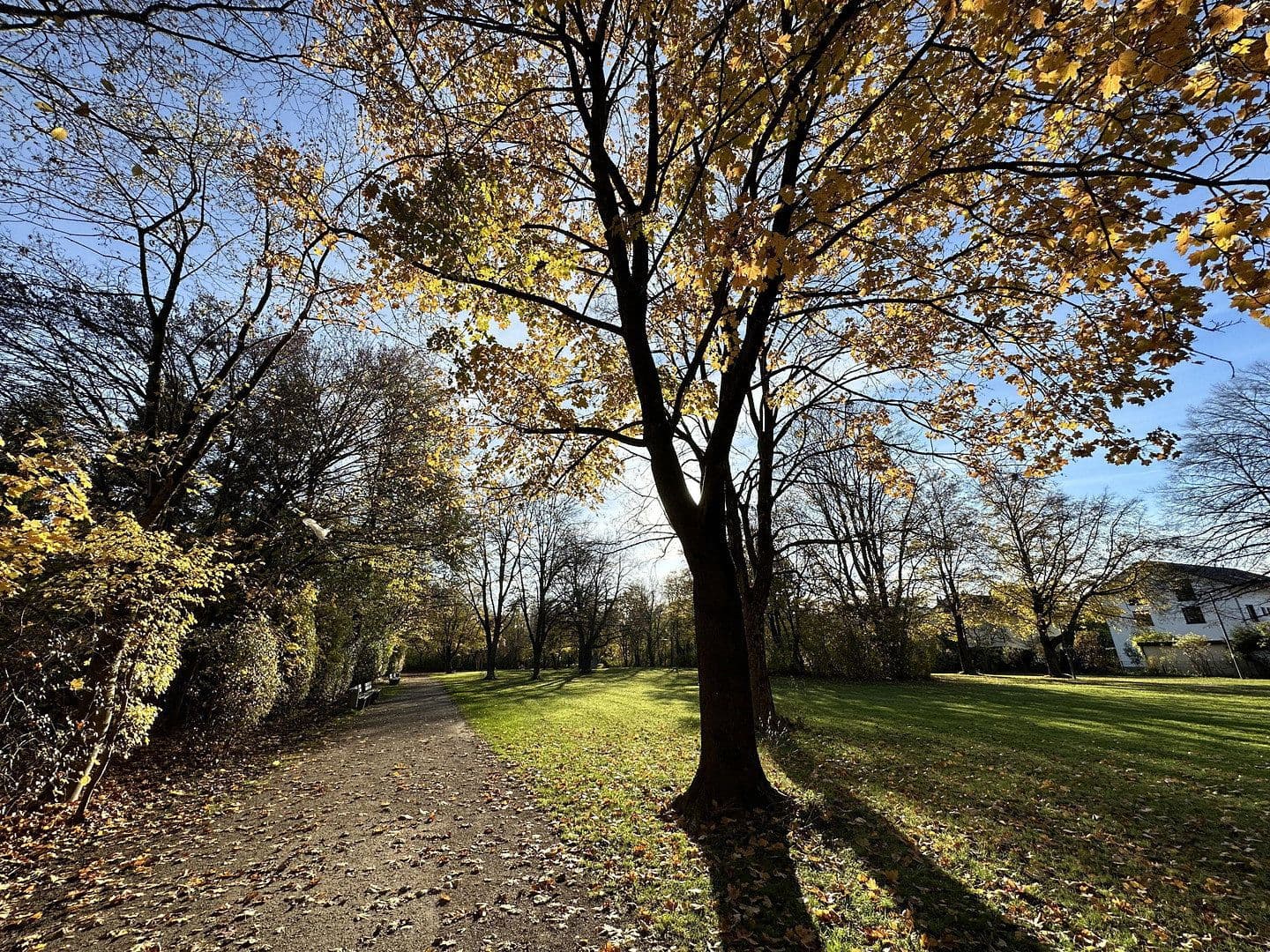 Prenájom bytu 5-izbový 141 m², Sudetendeutsche Straße 31a, München, Bavorsko Prenájom bytu 5-izbový 141 m², Sudetendeutsche Straße 31a, München, Bavorsko