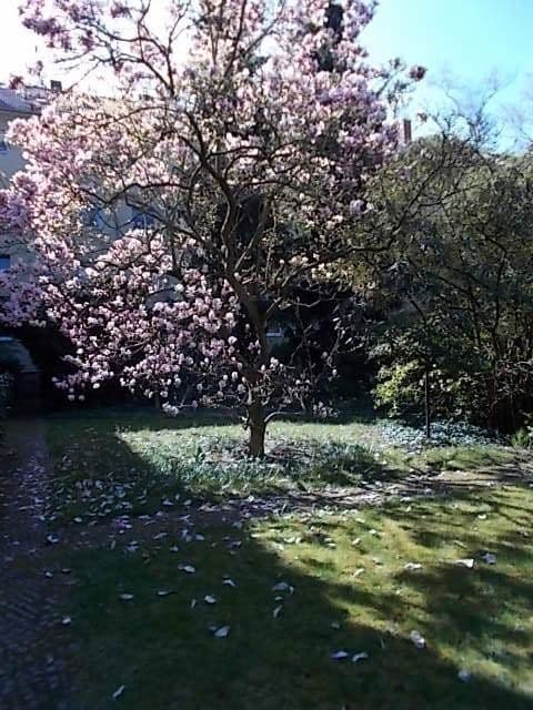 Predaj bytu 2-izbový 62 m², Berlin, Berlín Predaj bytu 2-izbový 62 m², Berlin, Berlín