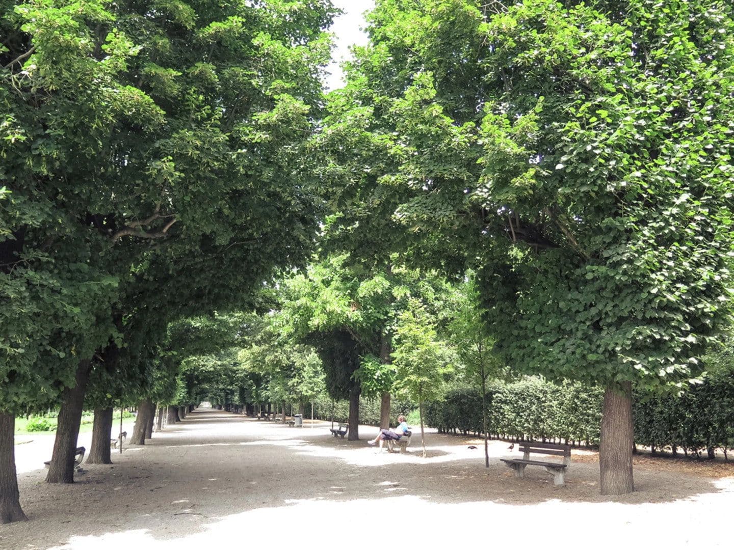 Prenájom bytu 2-izbový 46 m², Brigittagasse 15, Wien, Viedeň Prenájom bytu 2-izbový 46 m², Brigittagasse 15, Wien, Viedeň