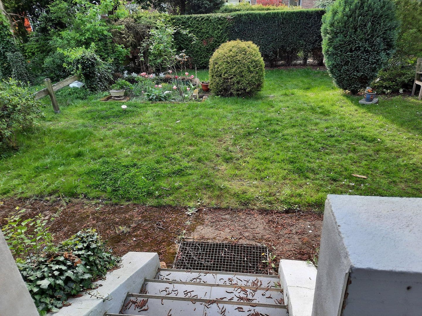 Prenájom bytu 2-izbový 57 m², Meerbusch, Severné Porýnie - Westfálsko Prenájom bytu 2-izbový 57 m², Meerbusch, Severné Porýnie - Westfálsko